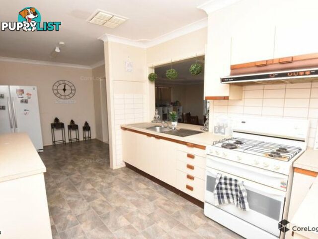 11 Hopedale Ave GUNNEDAH NSW 2380