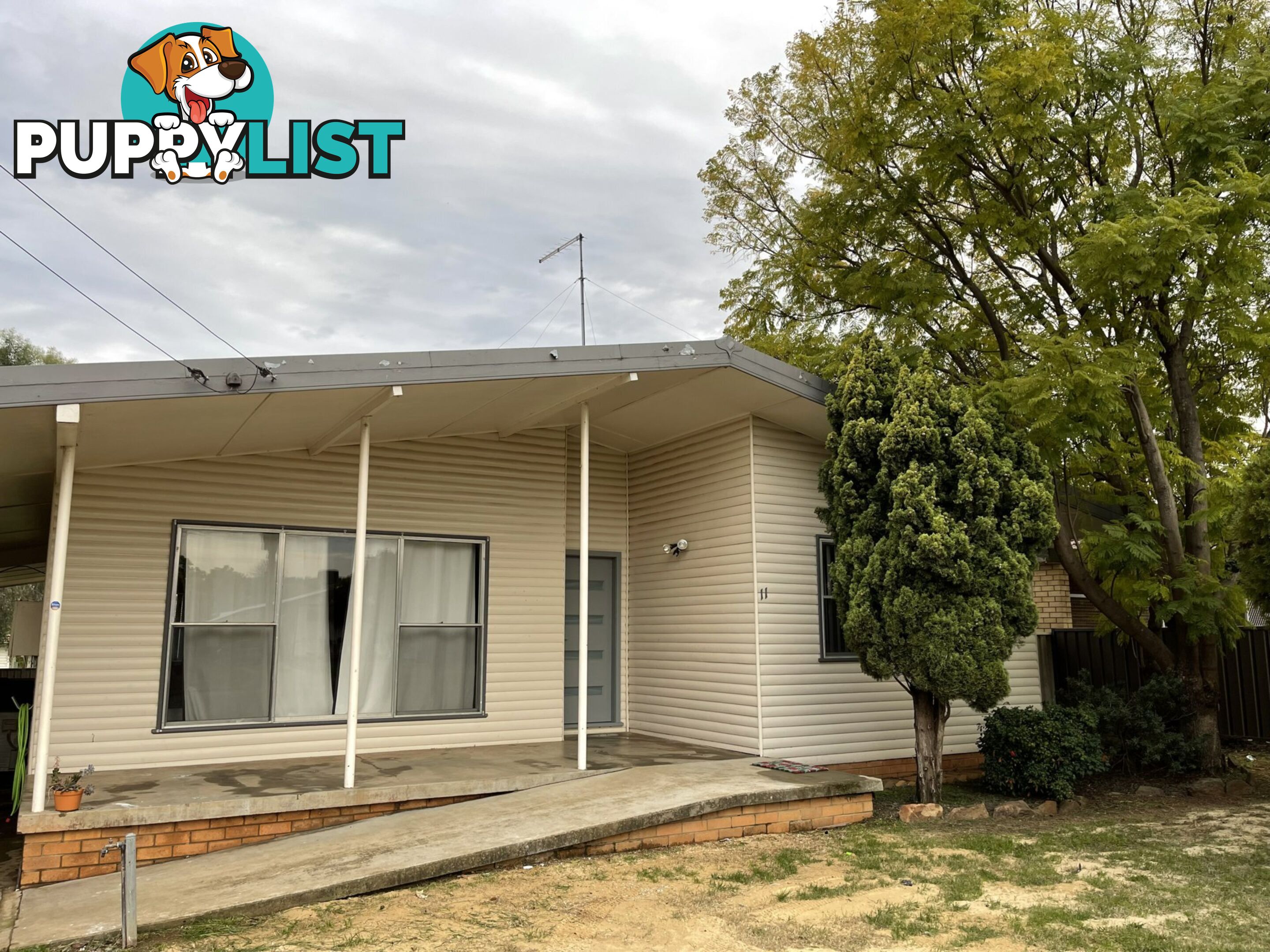 11 Hopedale Ave GUNNEDAH NSW 2380