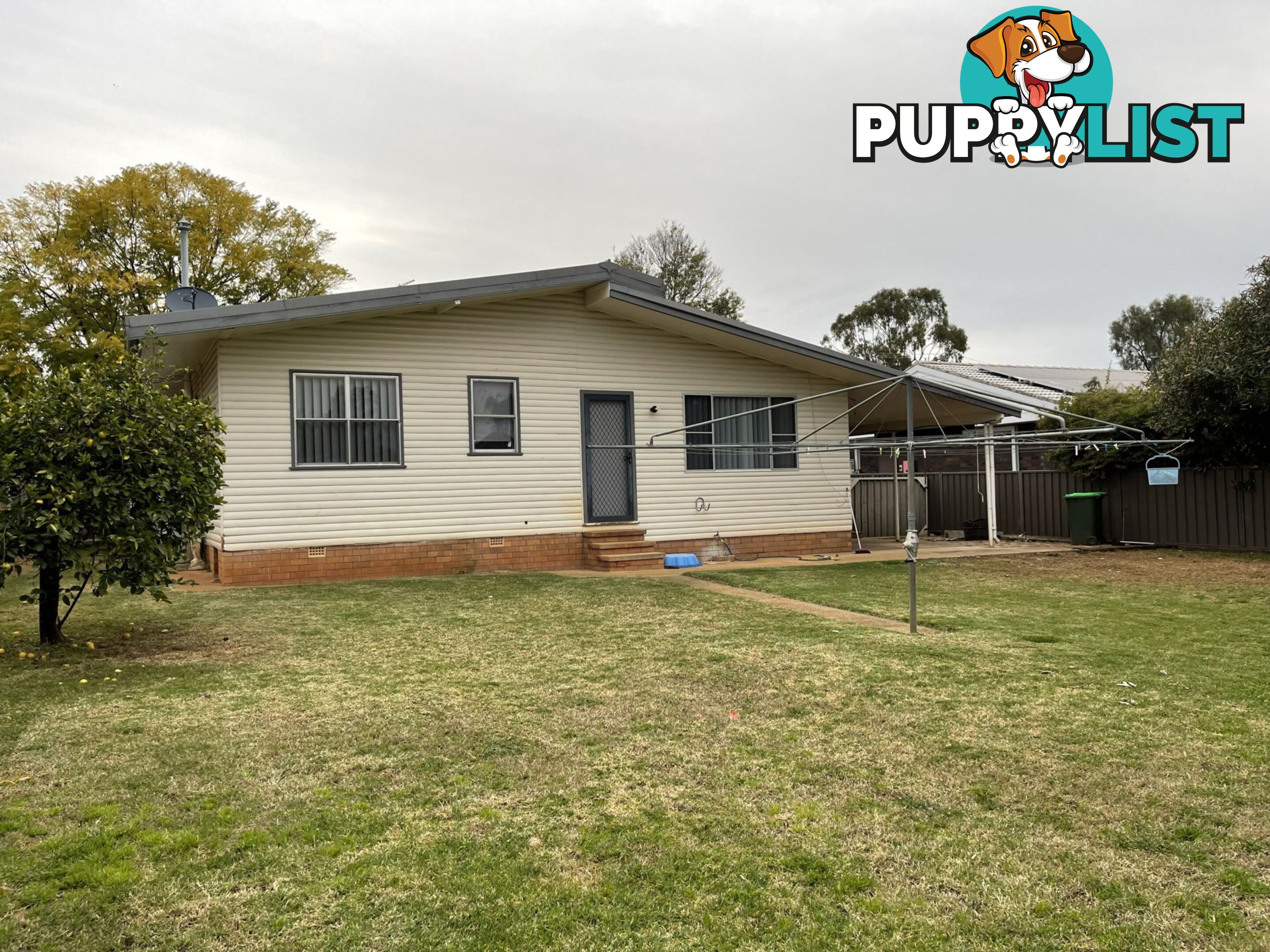 11 Hopedale Ave GUNNEDAH NSW 2380