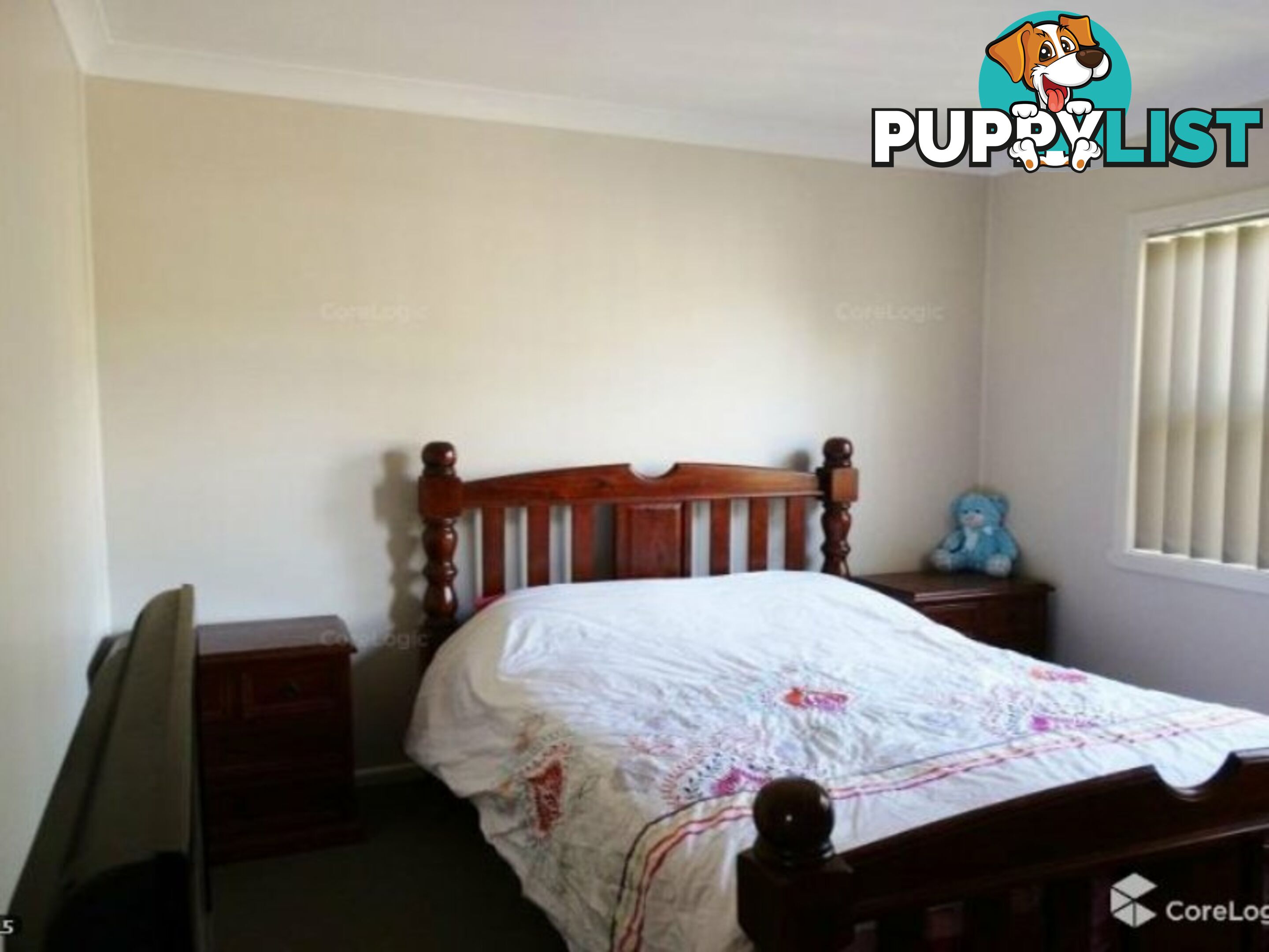 11 Hopedale Ave GUNNEDAH NSW 2380