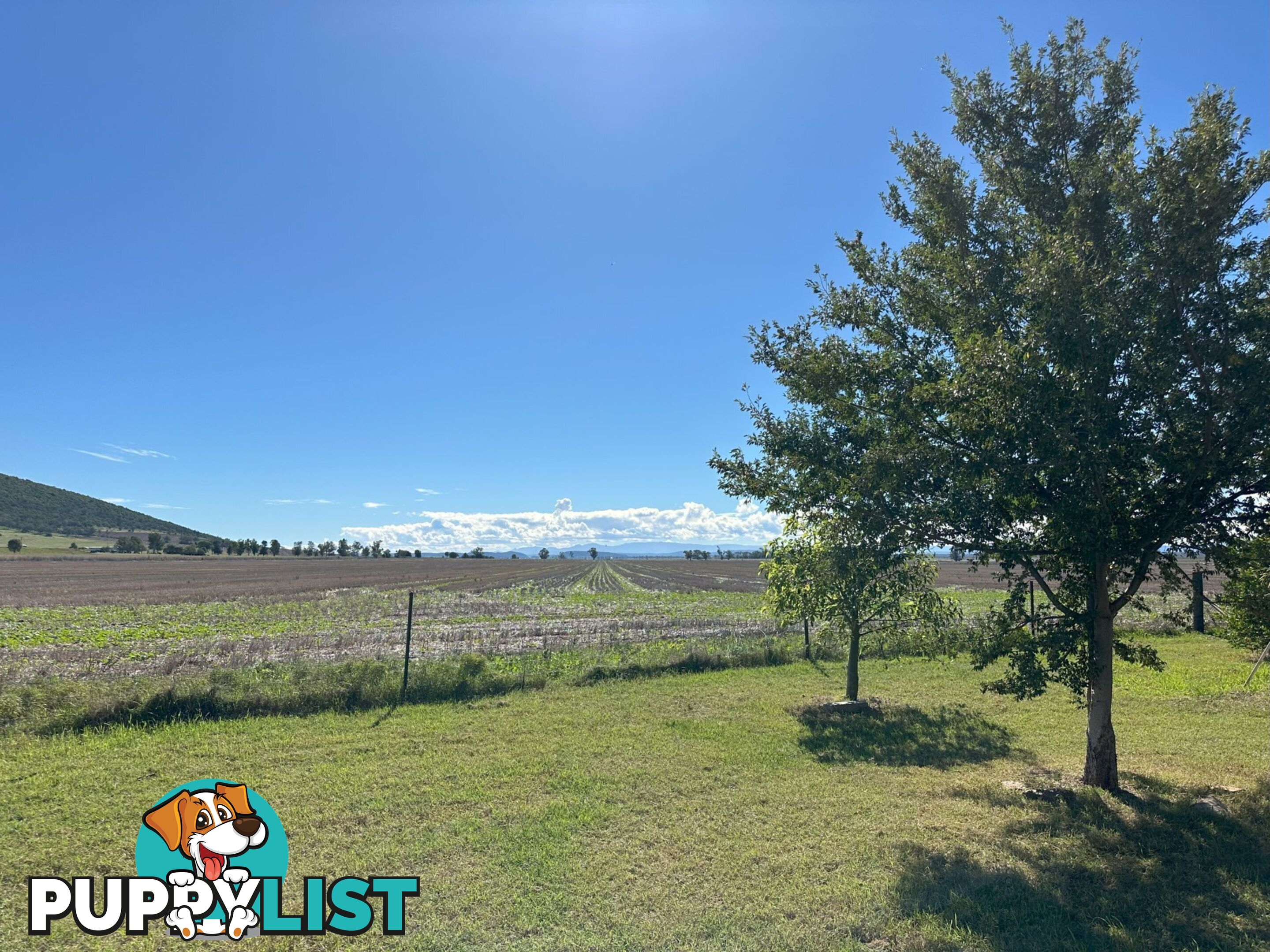 'Elken Downs'/1125 Binnalong Road BOGGABRI NSW 2382