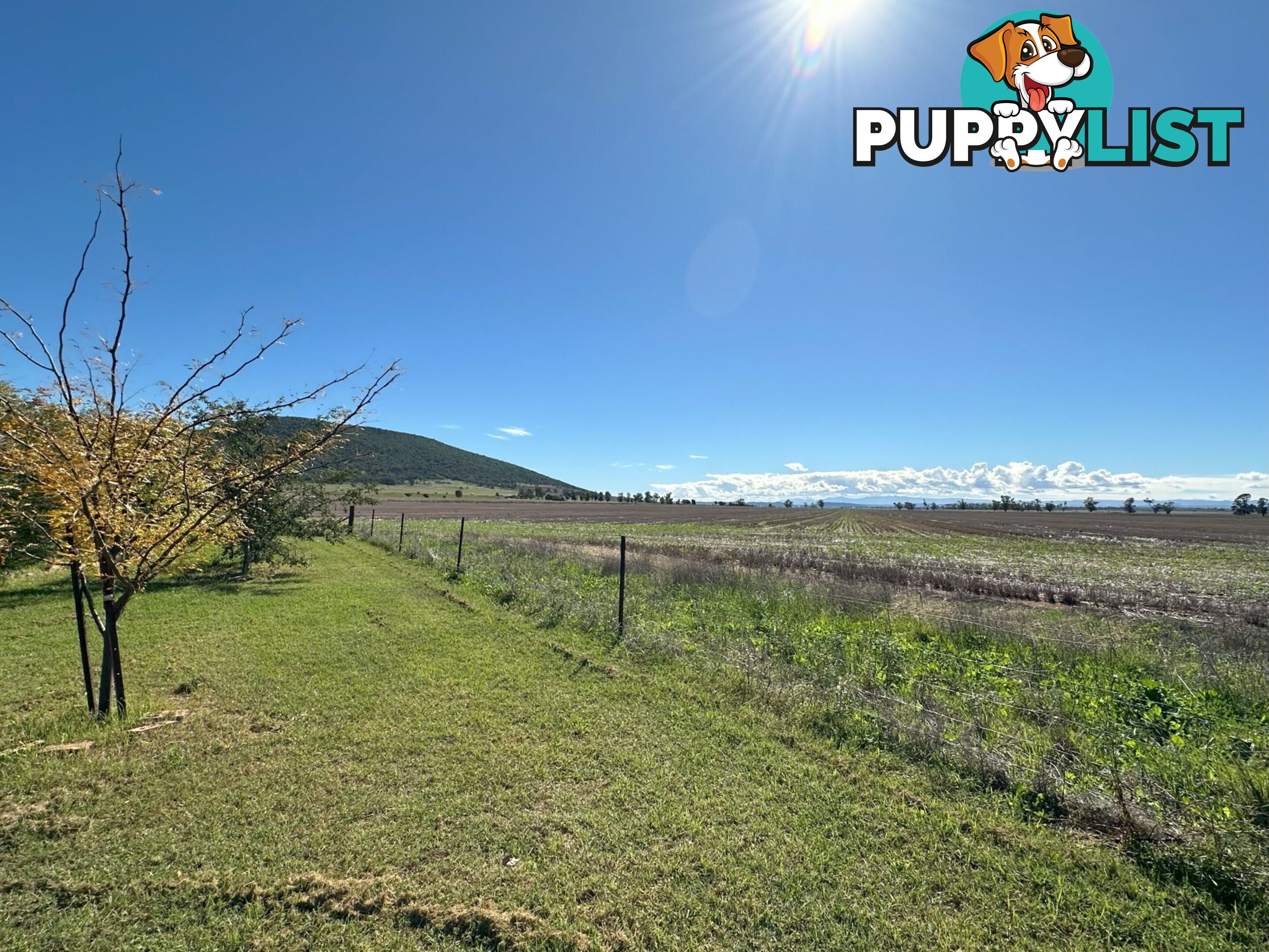 'Elken Downs'/1125 Binnalong Road BOGGABRI NSW 2382