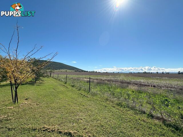 'Elken Downs'/1125 Binnalong Road BOGGABRI NSW 2382