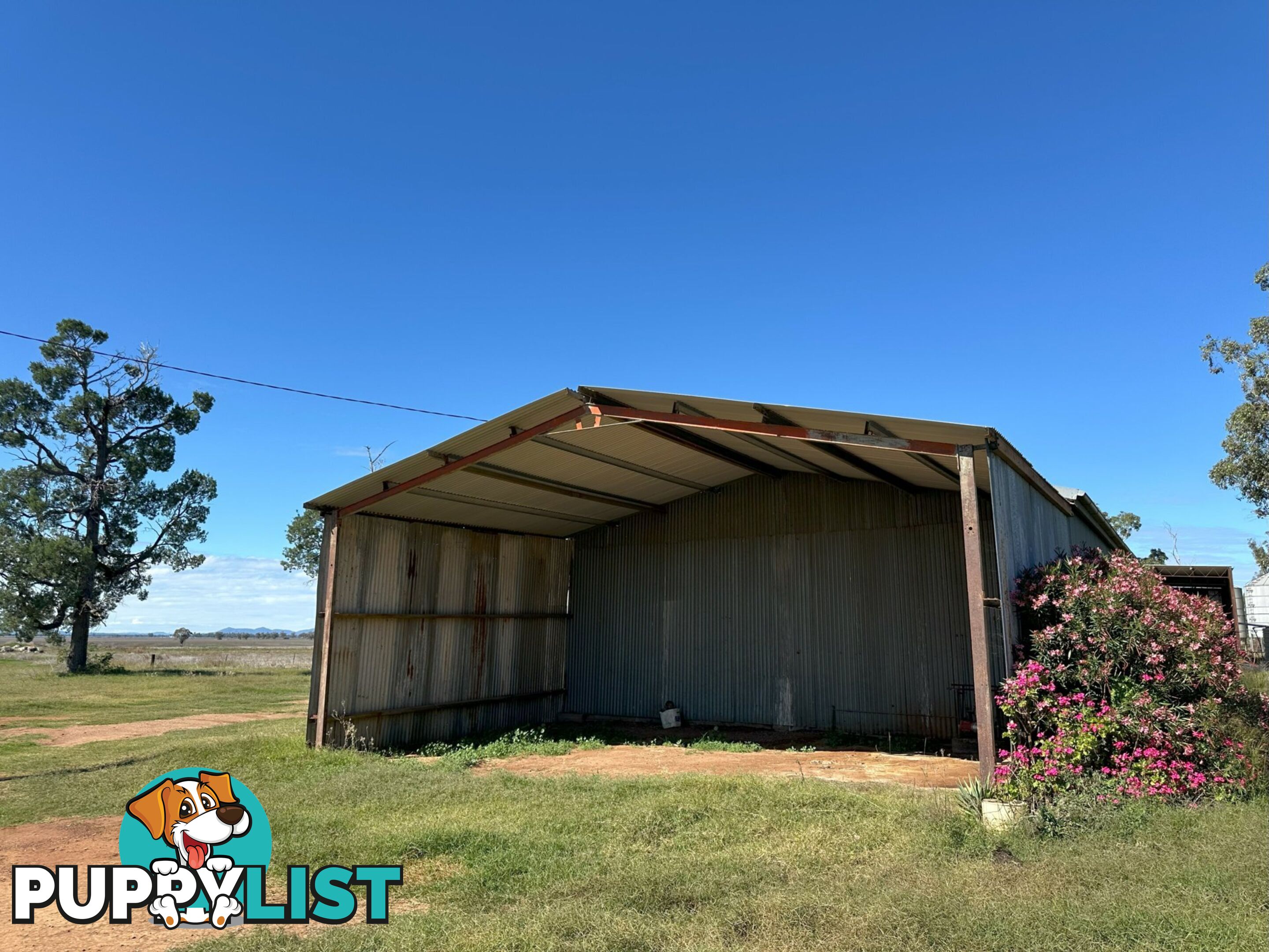 'Elken Downs'/1125 Binnalong Road BOGGABRI NSW 2382