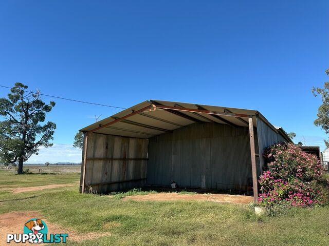 'Elken Downs'/1125 Binnalong Road BOGGABRI NSW 2382