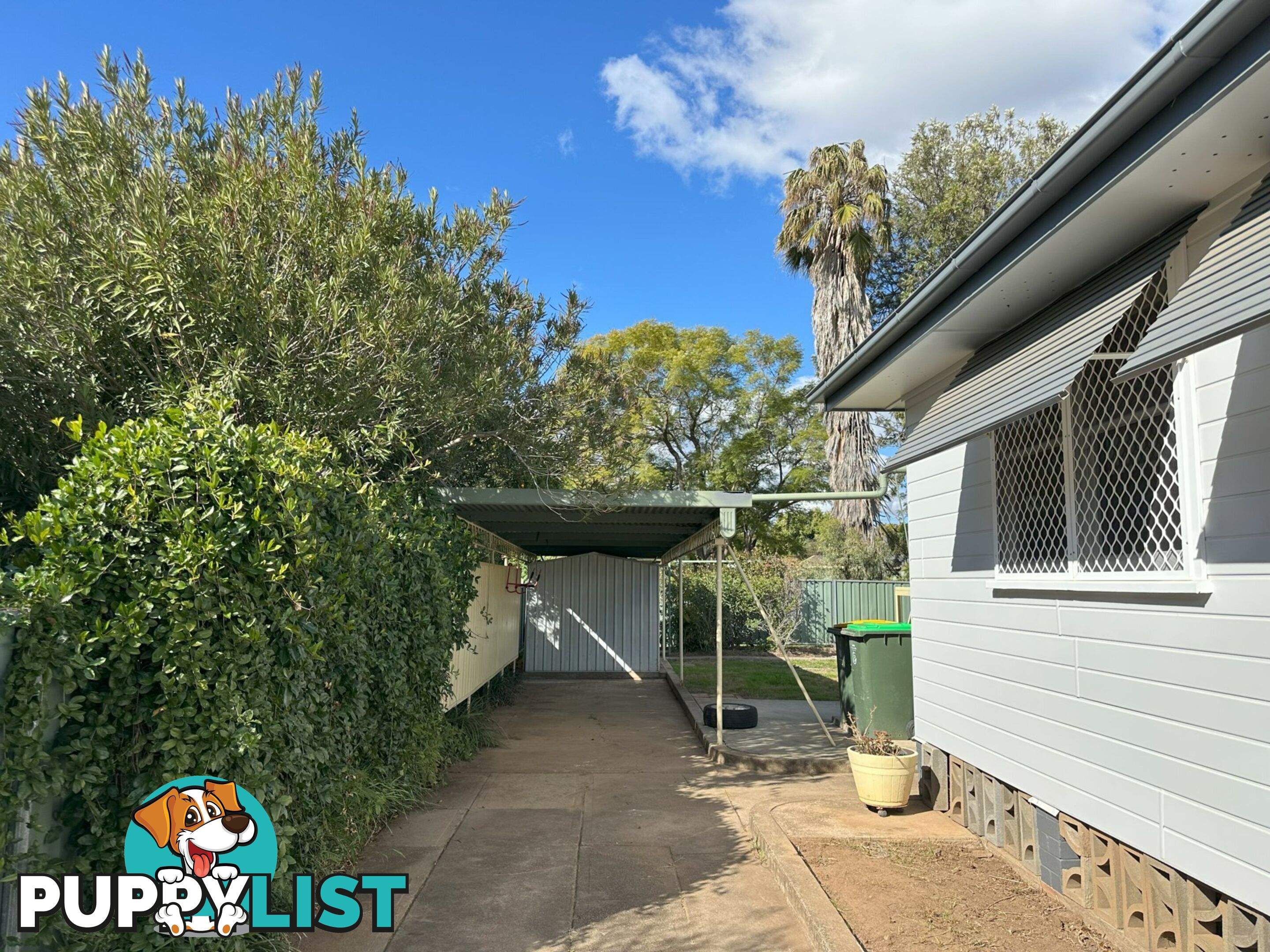 56 Wandobah Road GUNNEDAH NSW 2380