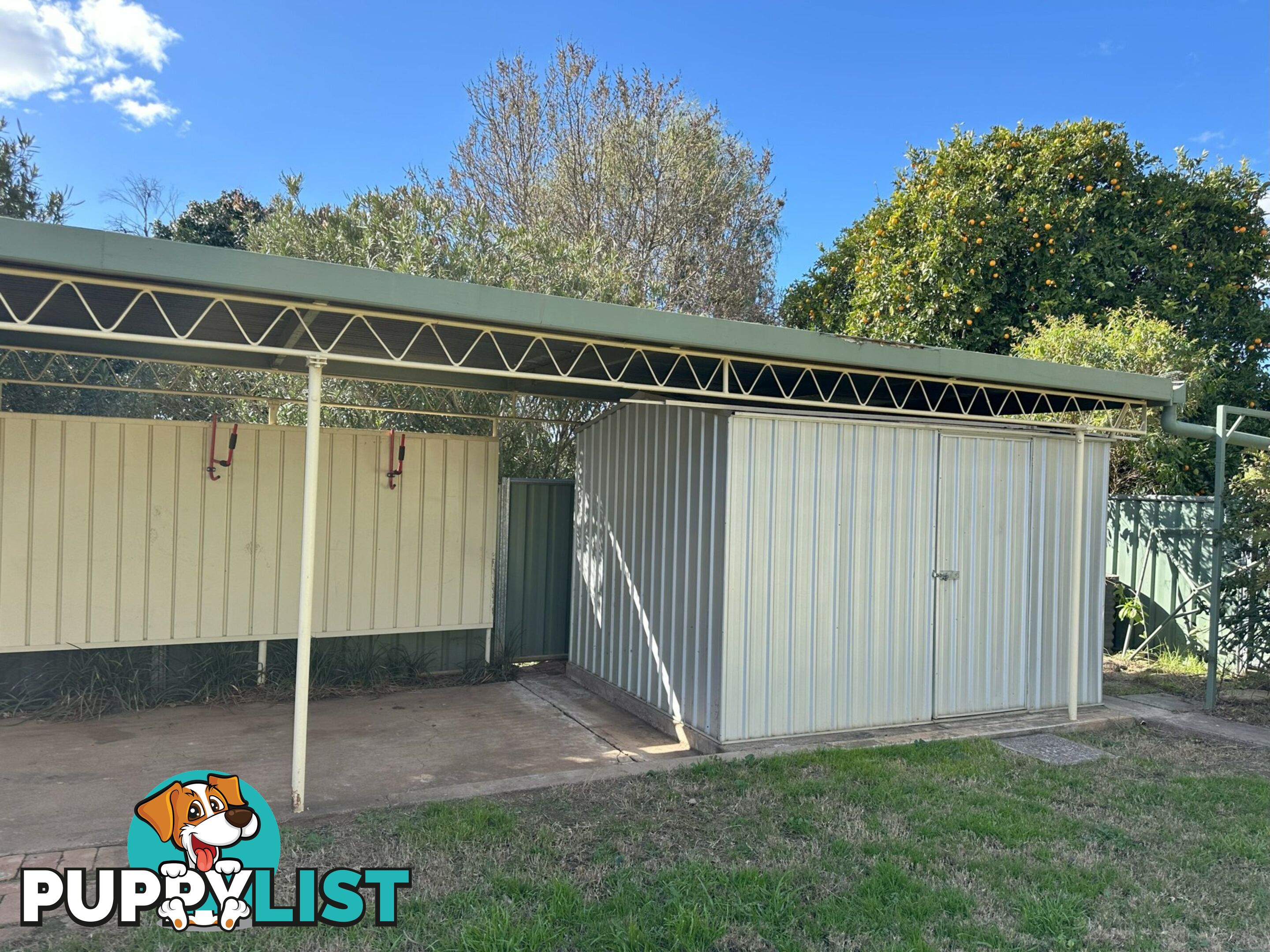 56 Wandobah Road GUNNEDAH NSW 2380