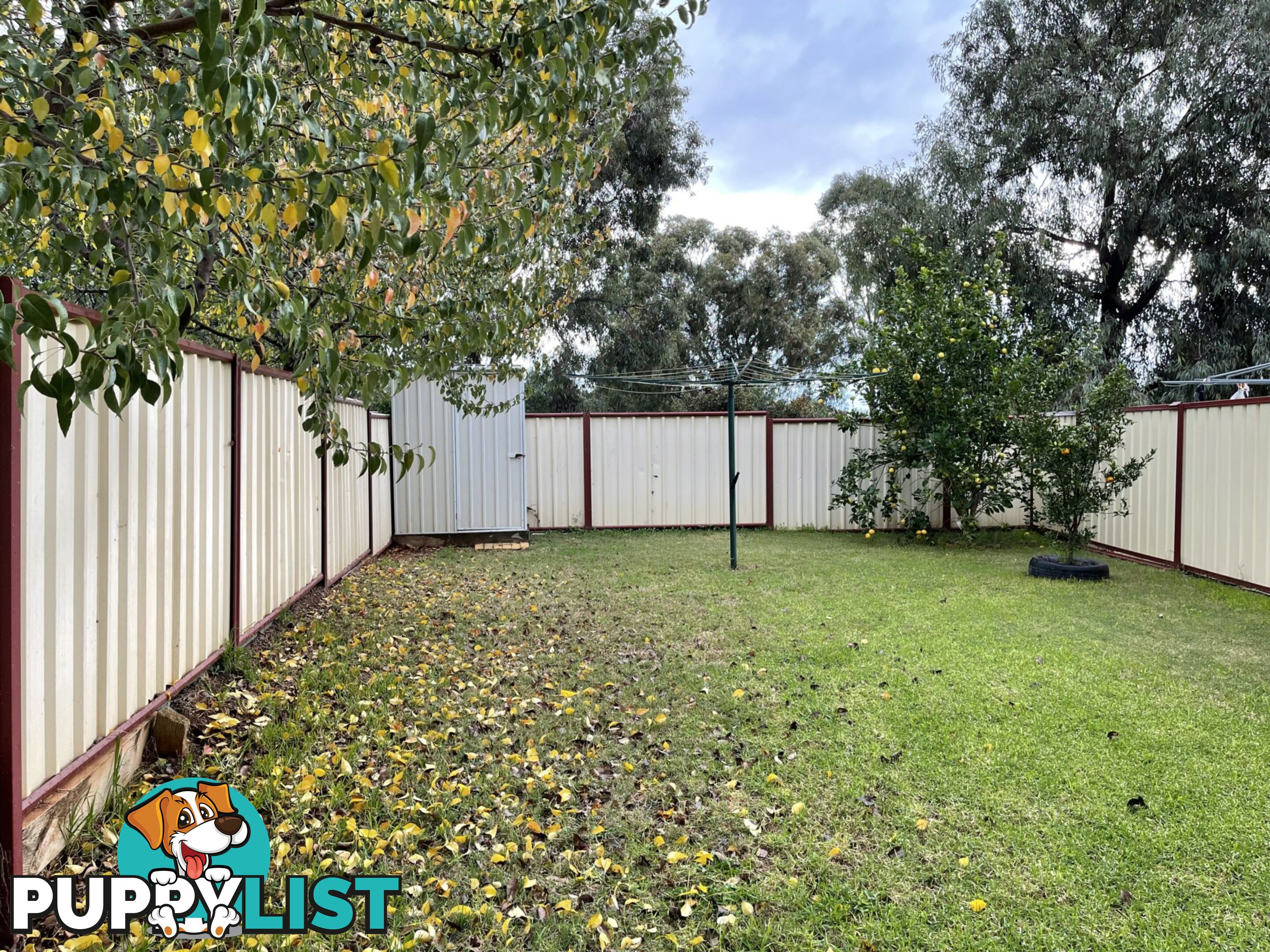 1/21 Hinton Drive GUNNEDAH NSW 2380