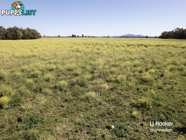 198 Kelvin Road GUNNEDAH NSW 2380