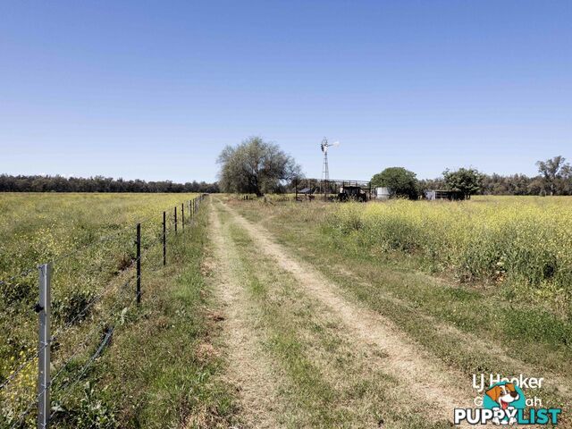 198 Kelvin Road GUNNEDAH NSW 2380