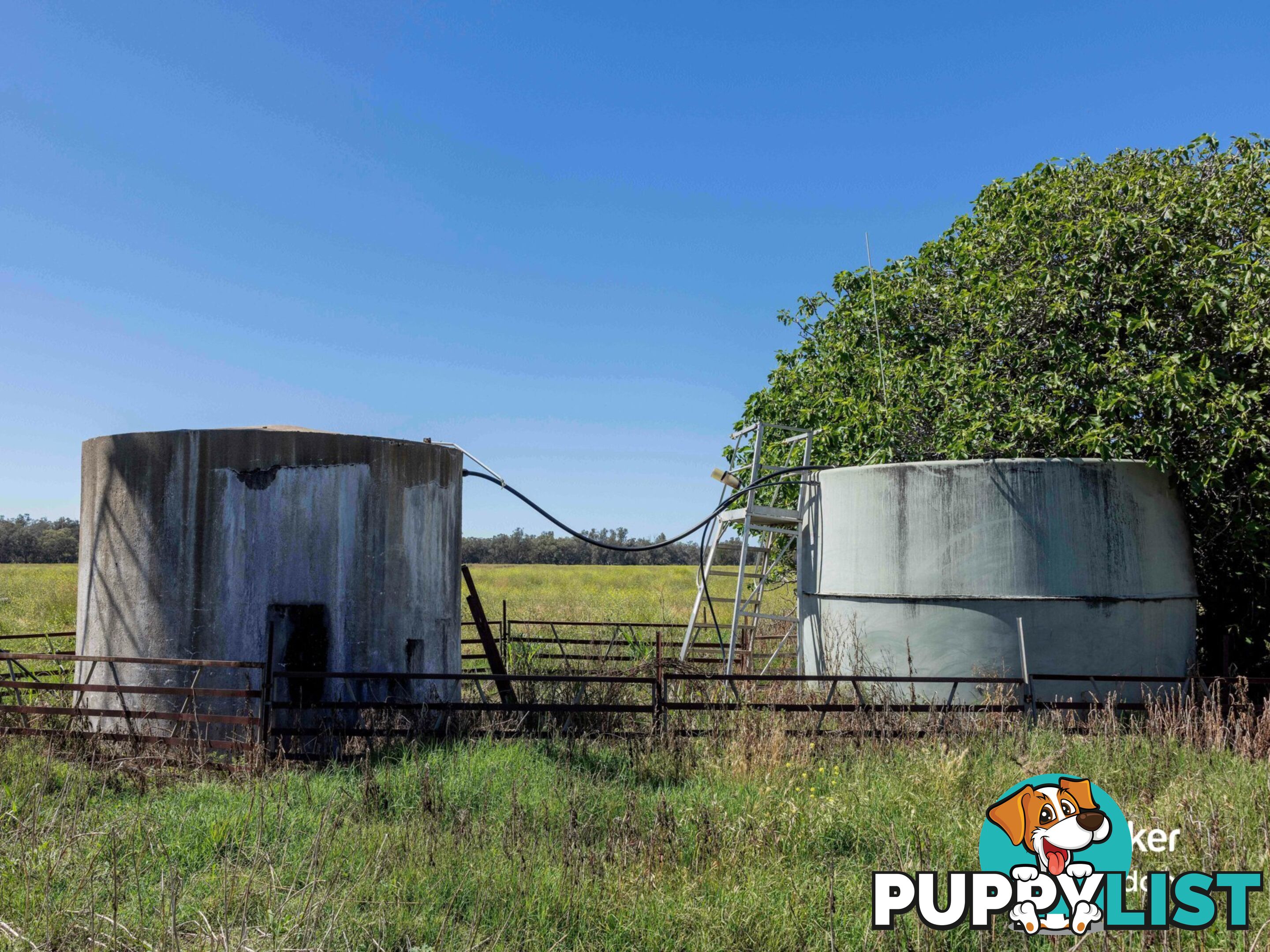 198 Kelvin Road GUNNEDAH NSW 2380