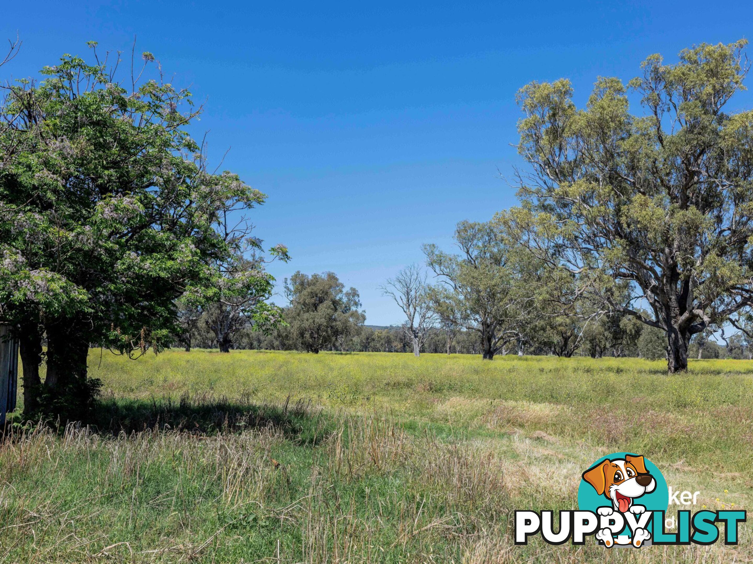 198 Kelvin Road GUNNEDAH NSW 2380