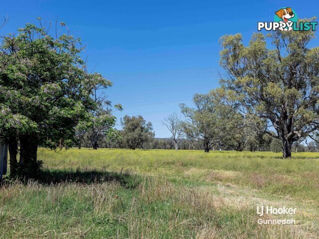 198 Kelvin Road GUNNEDAH NSW 2380