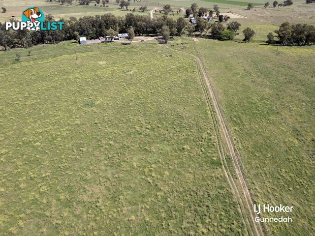 198 Kelvin Road GUNNEDAH NSW 2380