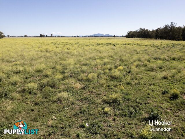 198 Kelvin Road GUNNEDAH NSW 2380