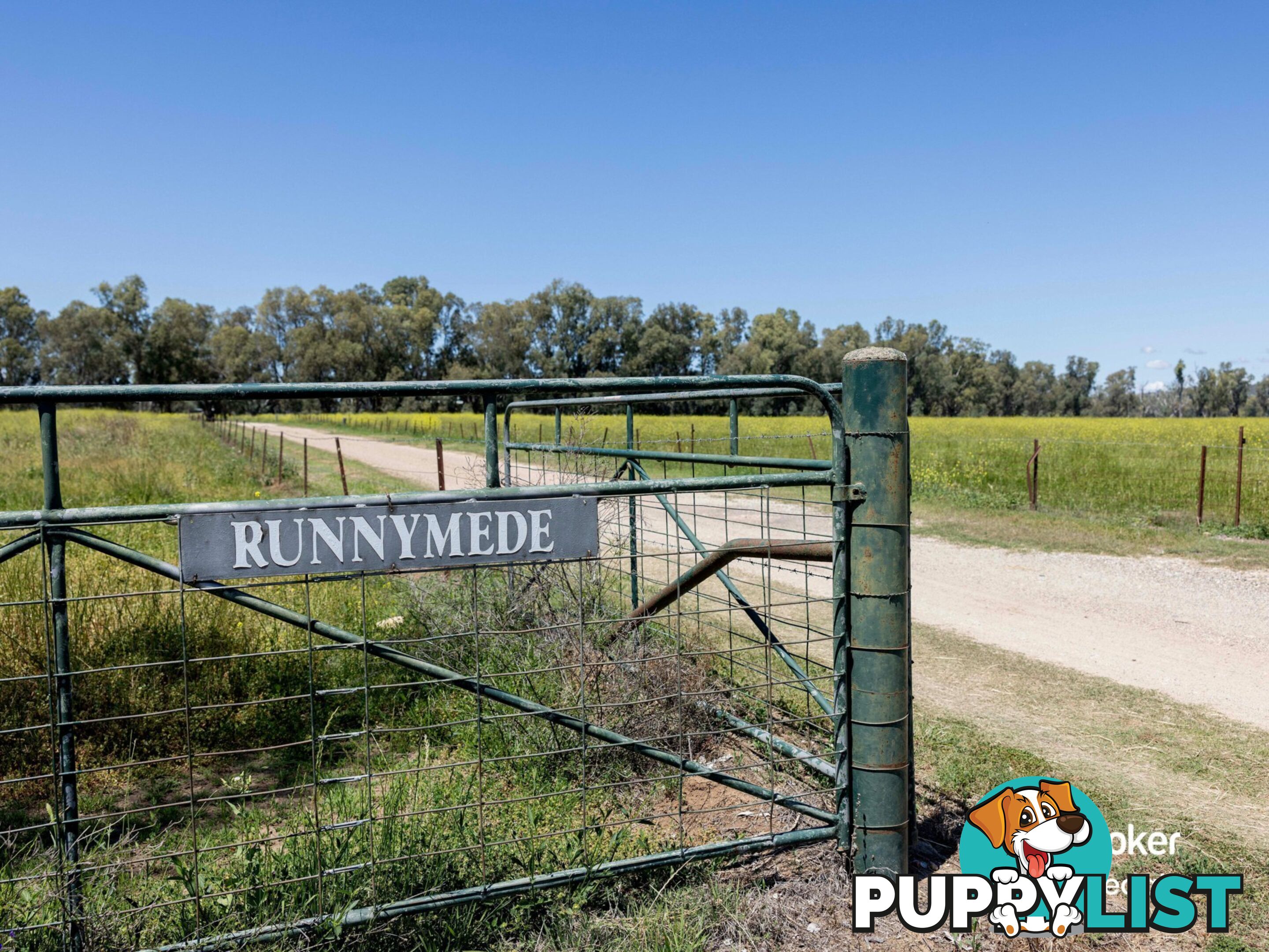 198 Kelvin Road GUNNEDAH NSW 2380