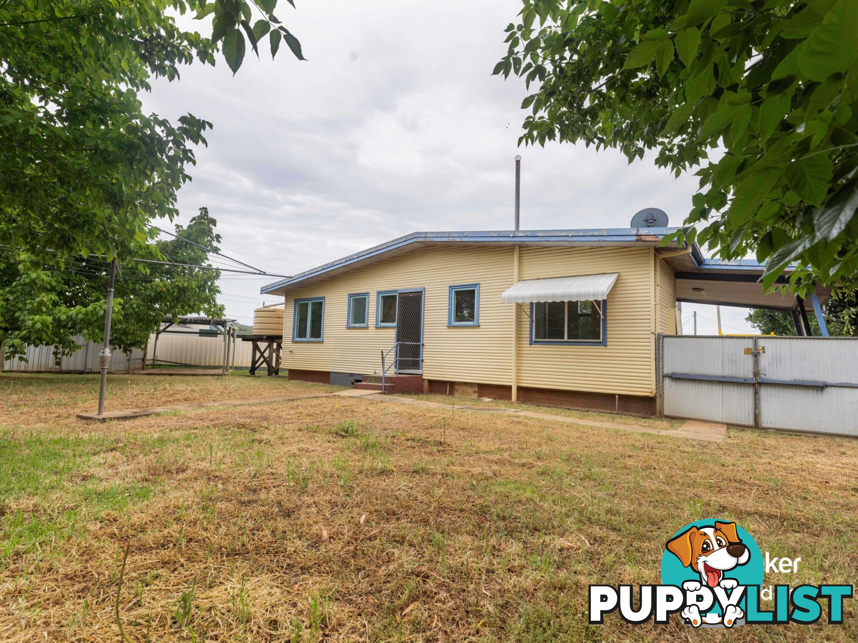 17 Jaeger Avenue GUNNEDAH NSW 2380