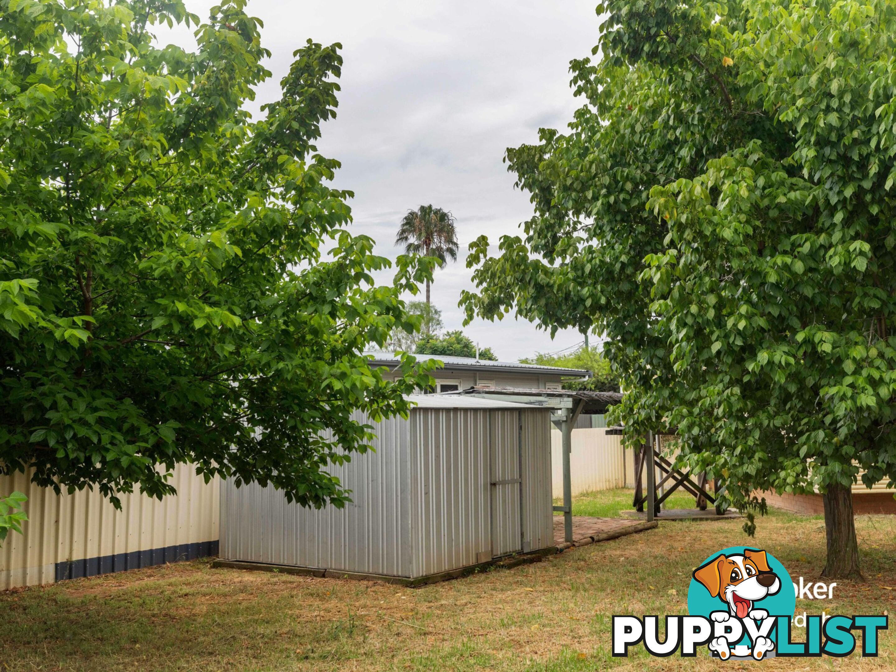 17 Jaeger Avenue GUNNEDAH NSW 2380