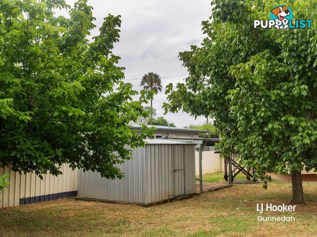 17 Jaeger Avenue GUNNEDAH NSW 2380