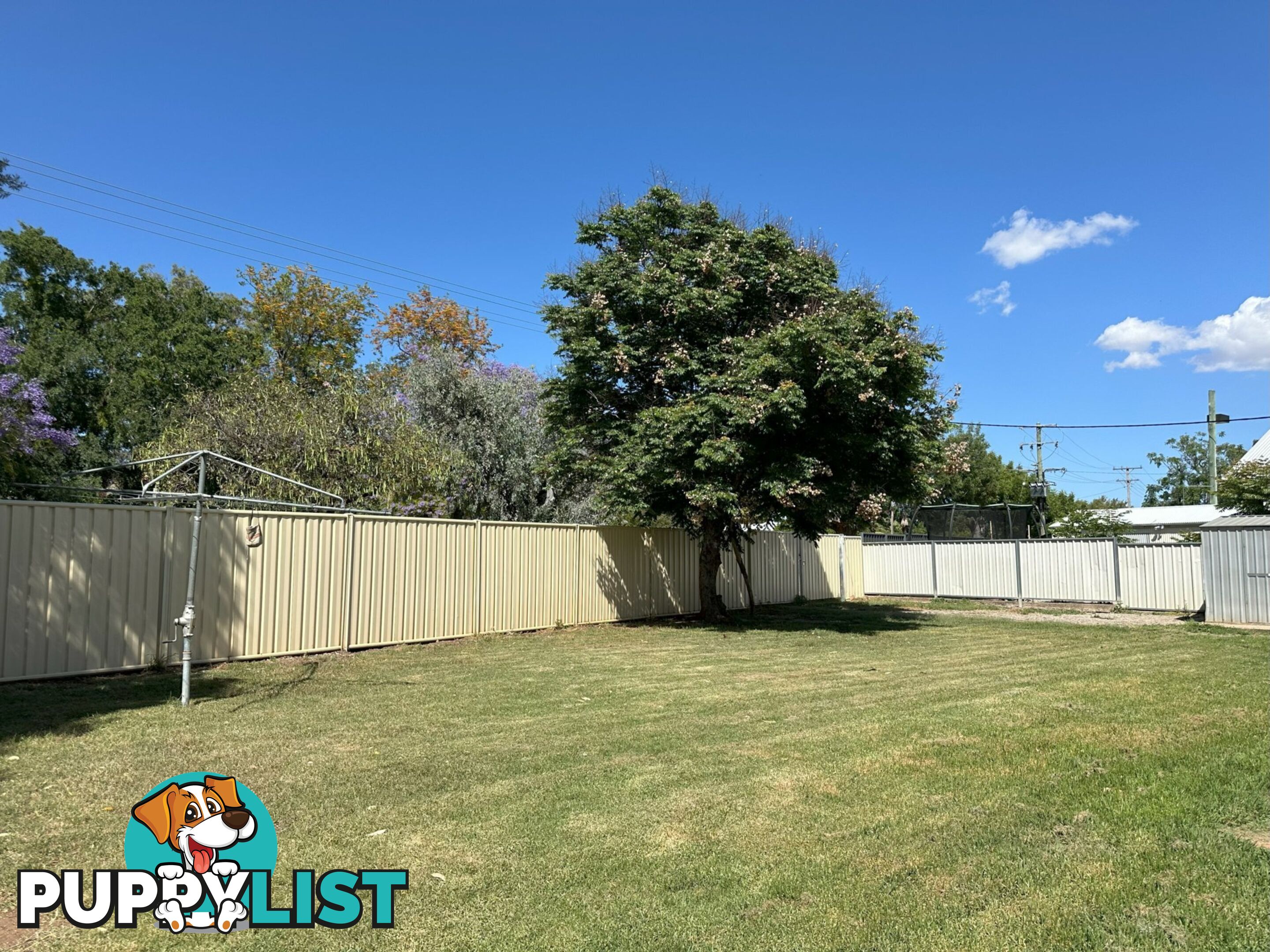 17 Reservoir Street GUNNEDAH NSW 2380