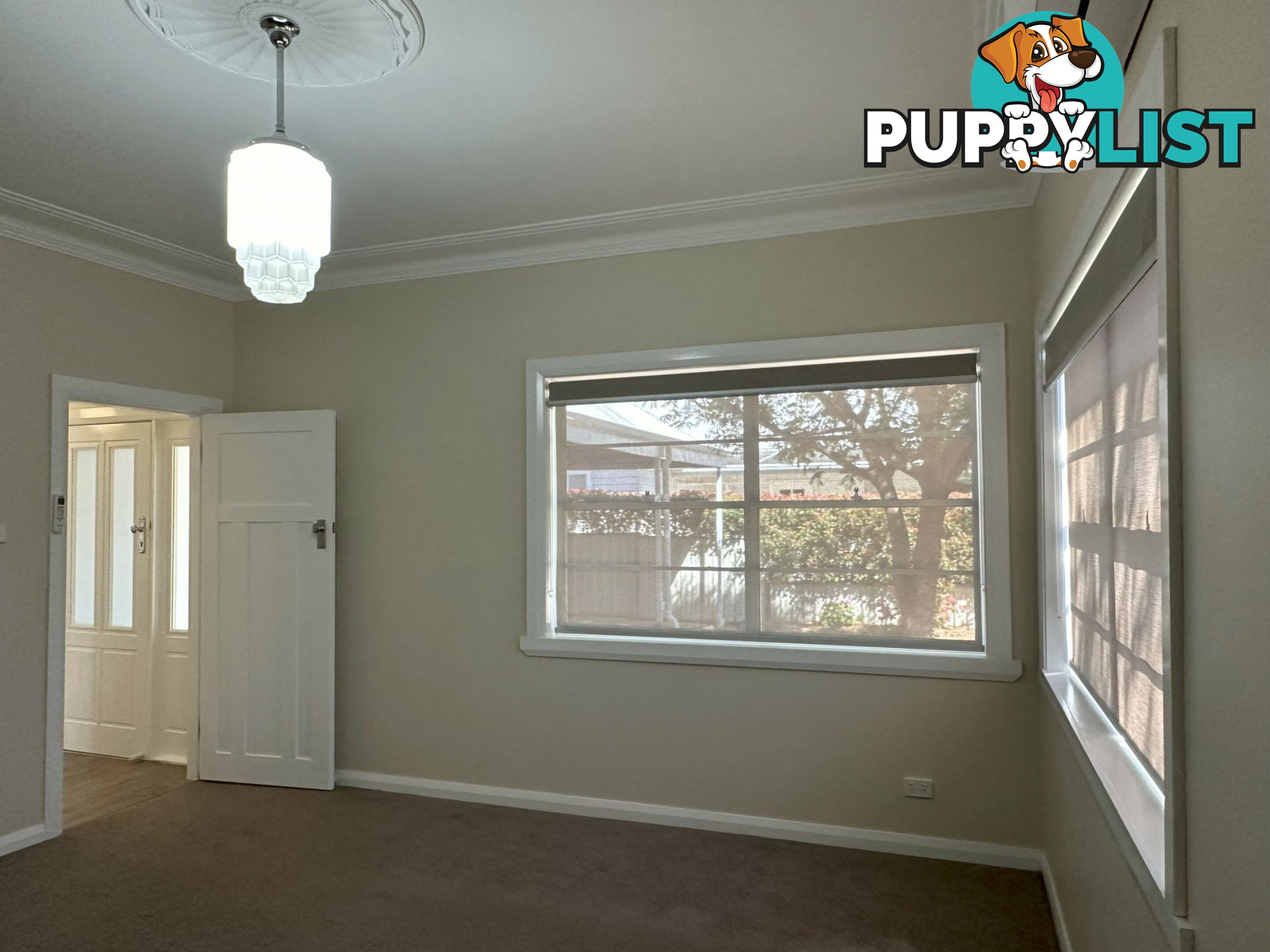 17 Reservoir Street GUNNEDAH NSW 2380