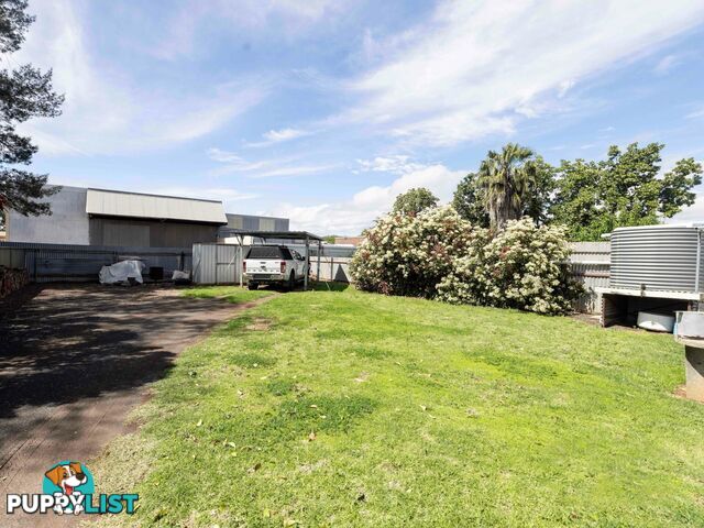 19 Rosemary Street GUNNEDAH NSW 2380