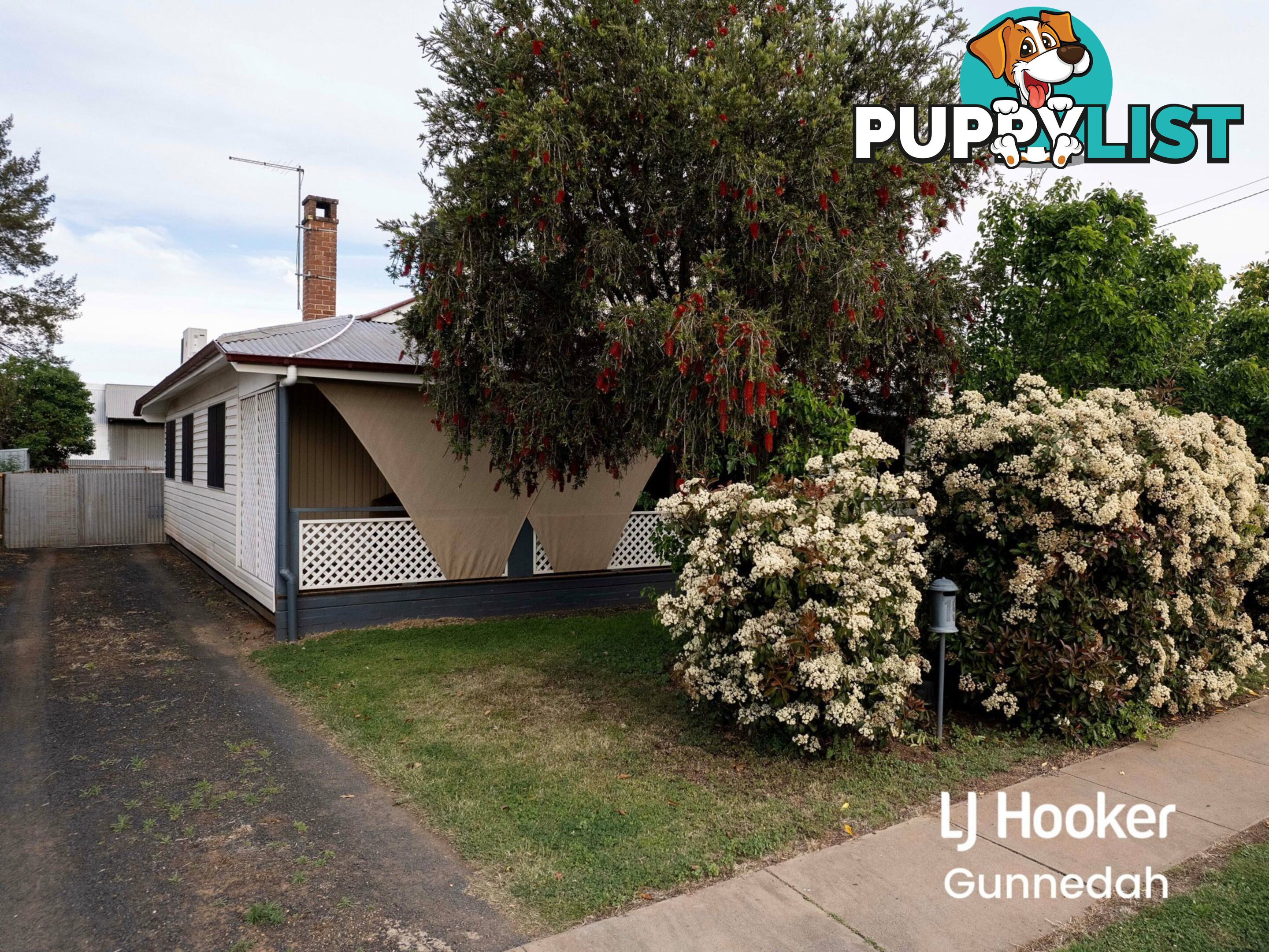 19 Rosemary Street GUNNEDAH NSW 2380