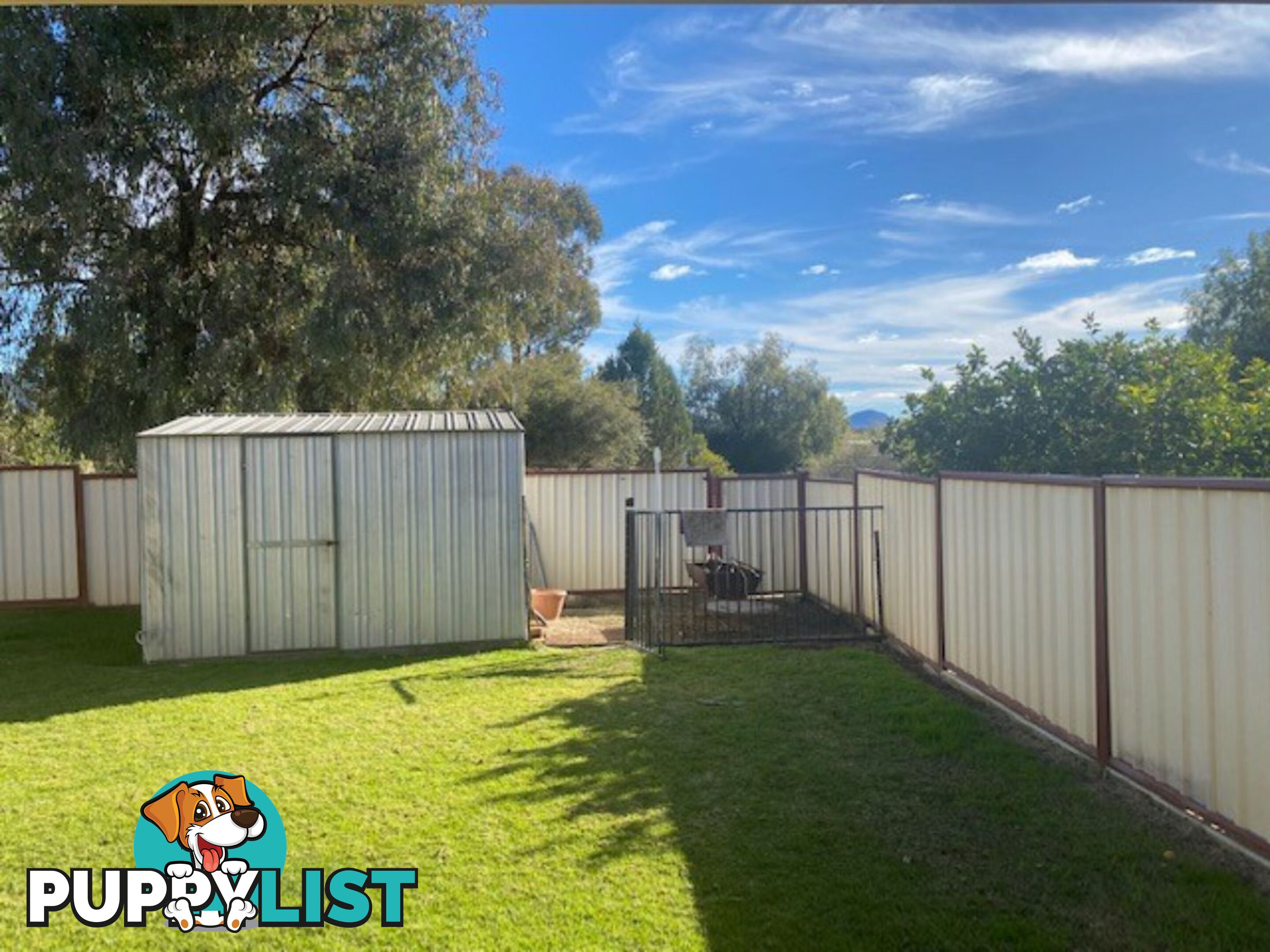 21 Hinton Drive GUNNEDAH NSW 2380