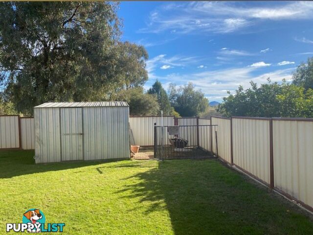 21 Hinton Drive GUNNEDAH NSW 2380