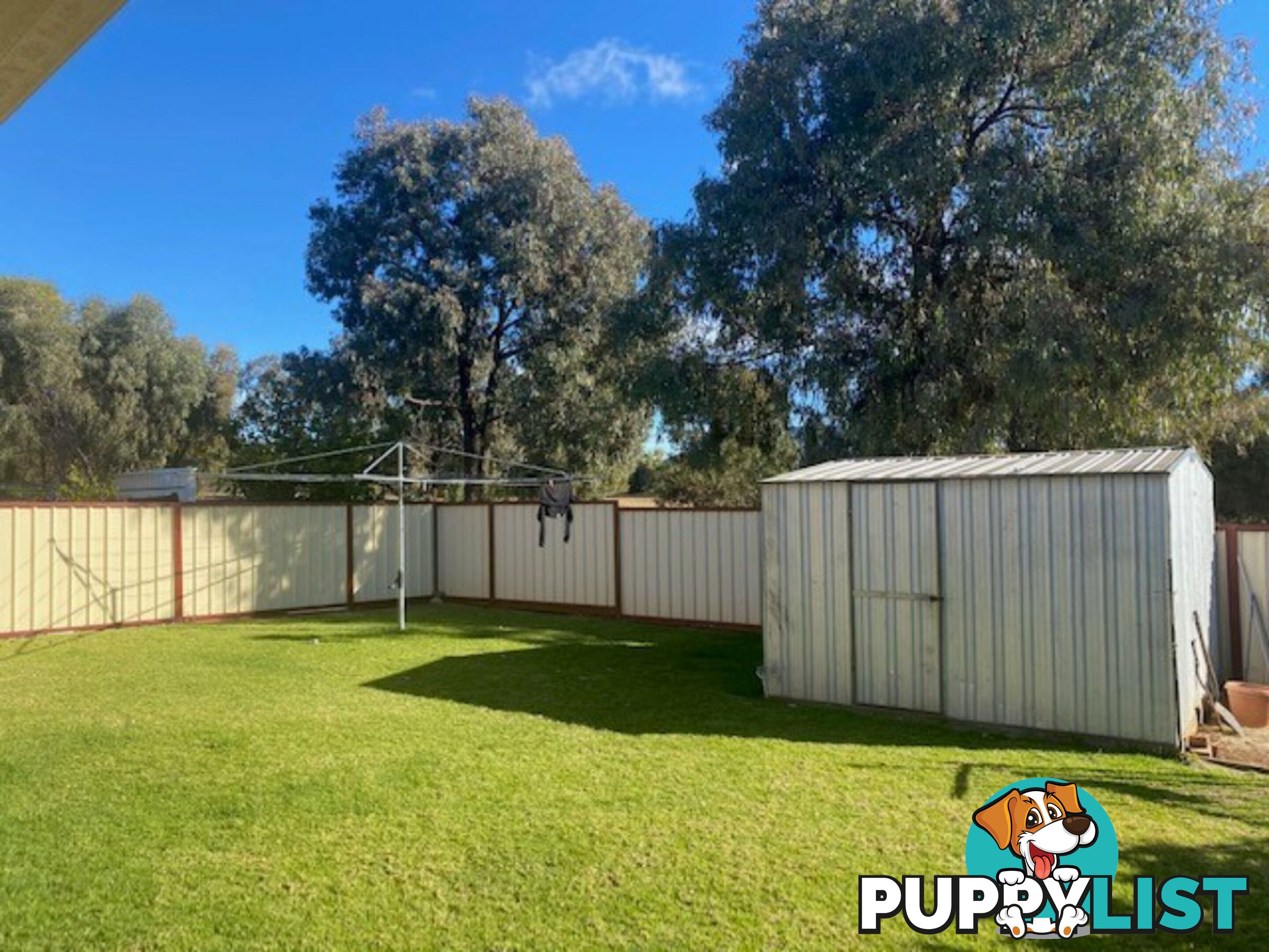 21 Hinton Drive GUNNEDAH NSW 2380