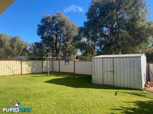 21 Hinton Drive GUNNEDAH NSW 2380