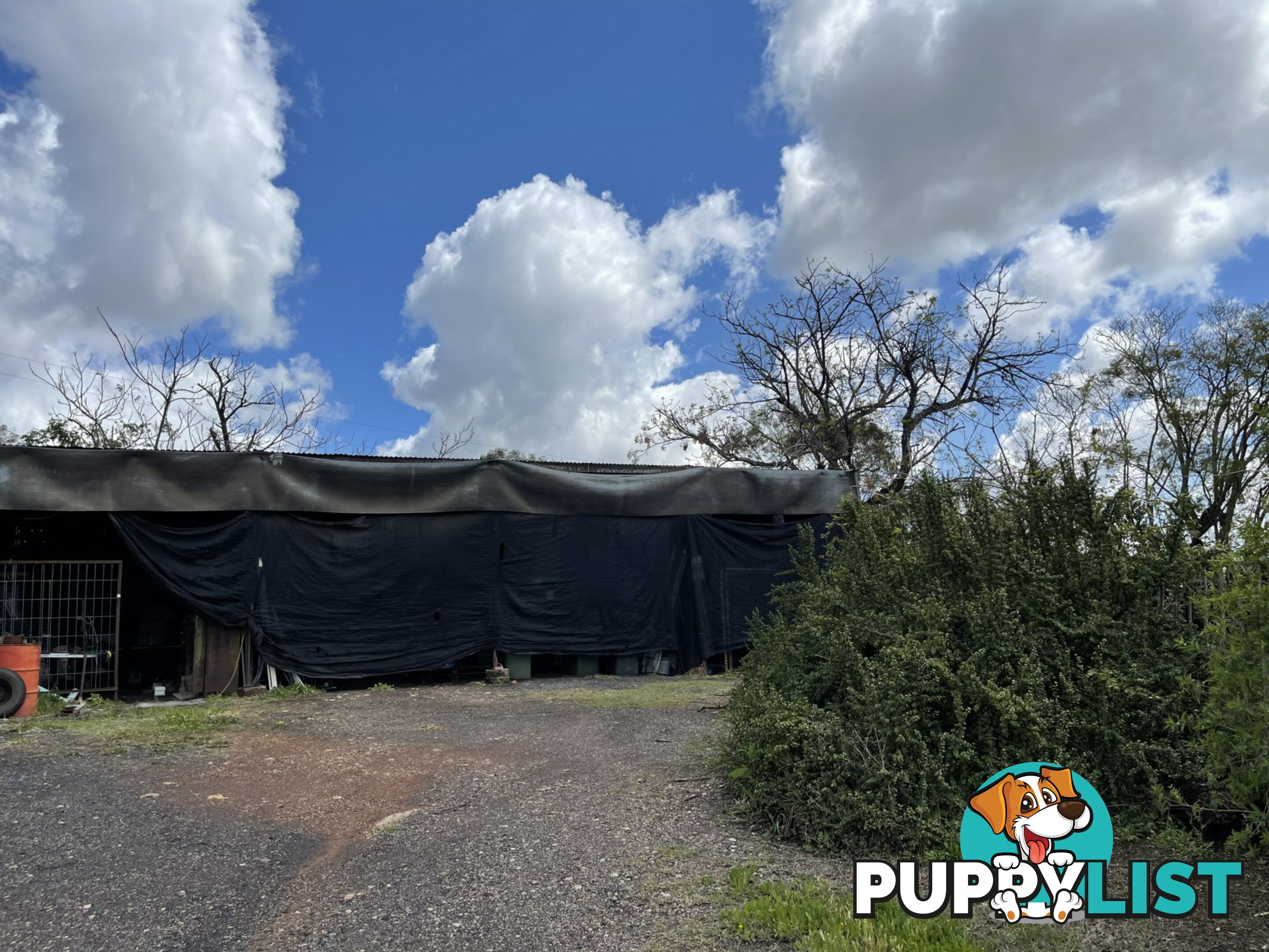 161 Mathias Road GUNNEDAH NSW 2380