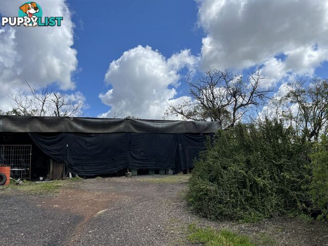 161 Mathias Road GUNNEDAH NSW 2380