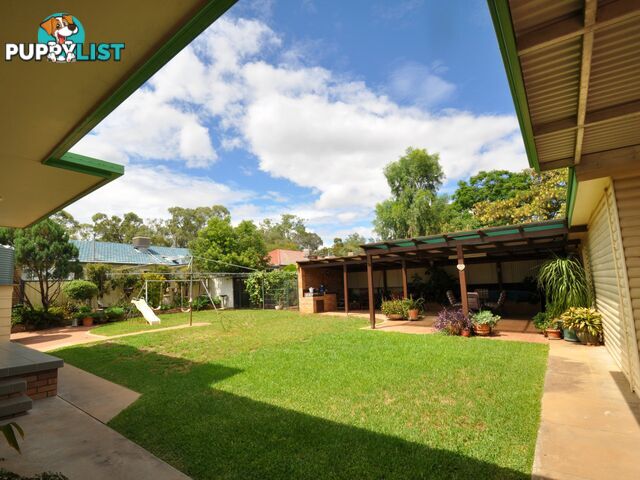 55 Bando GUNNEDAH NSW 2380