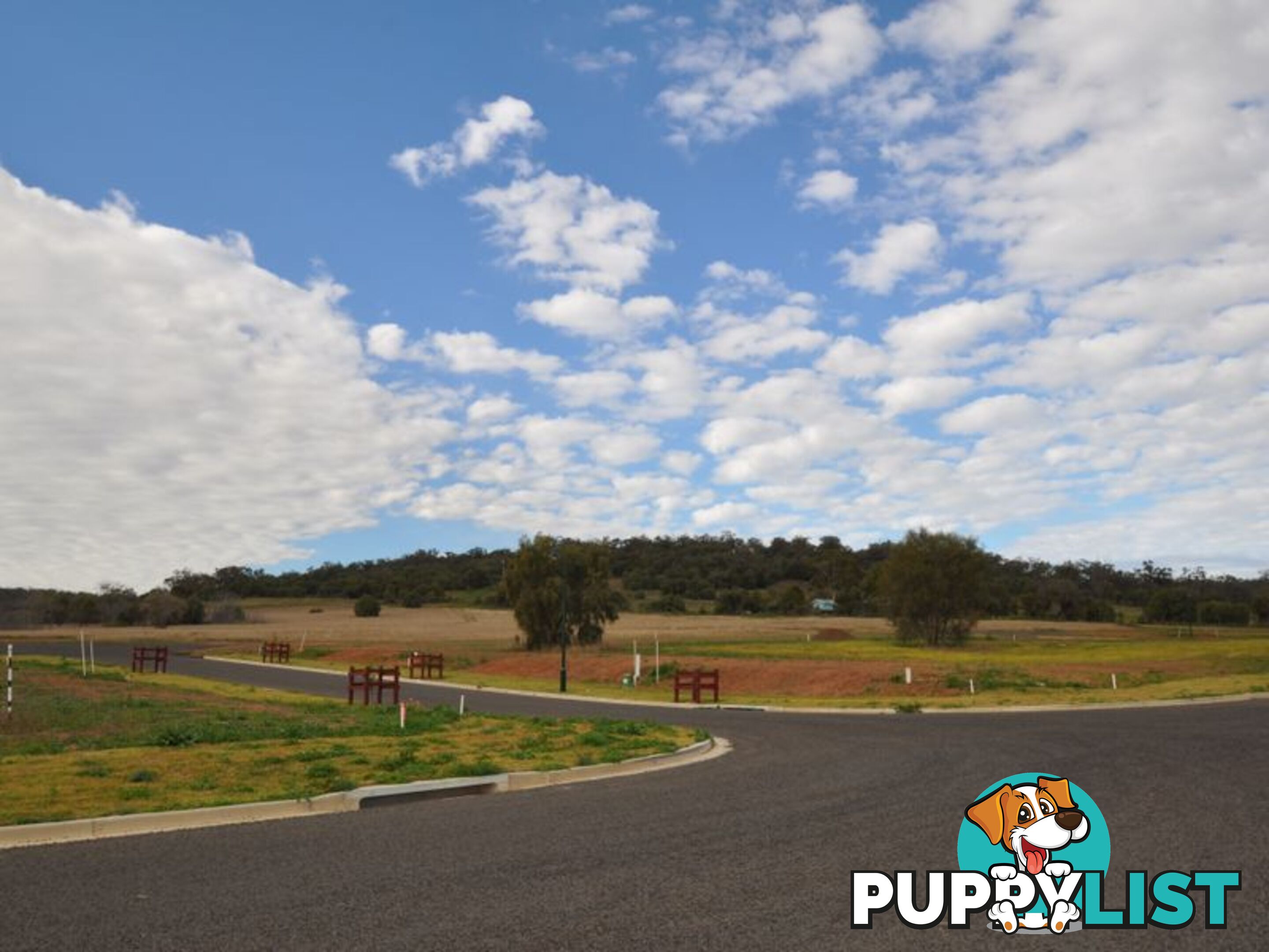 Lot 314 Elm Drive GUNNEDAH NSW 2380