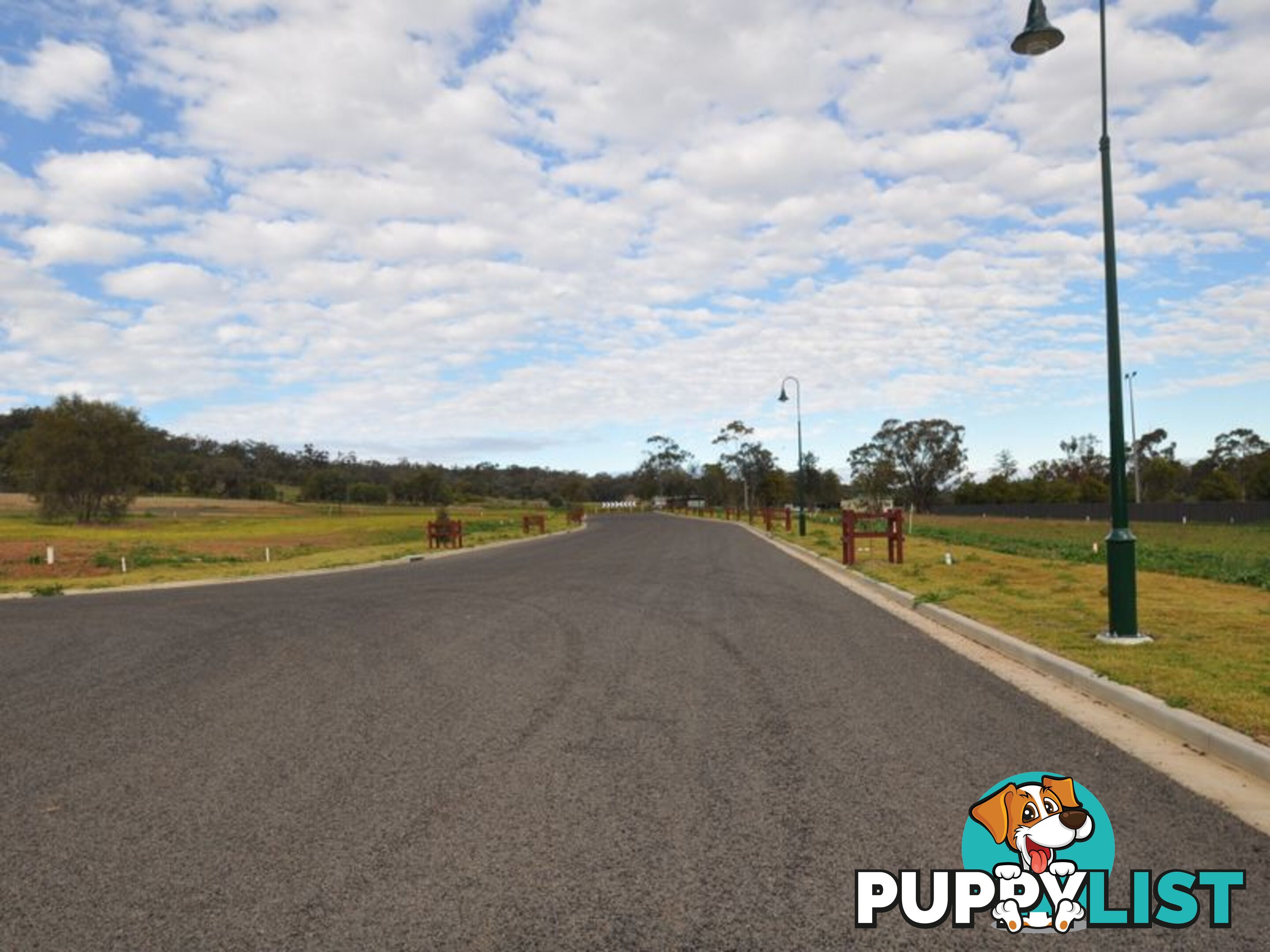 Lot 314 Elm Drive GUNNEDAH NSW 2380