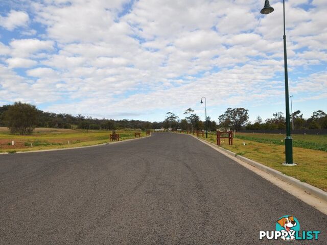 Lot 314 Elm Drive GUNNEDAH NSW 2380