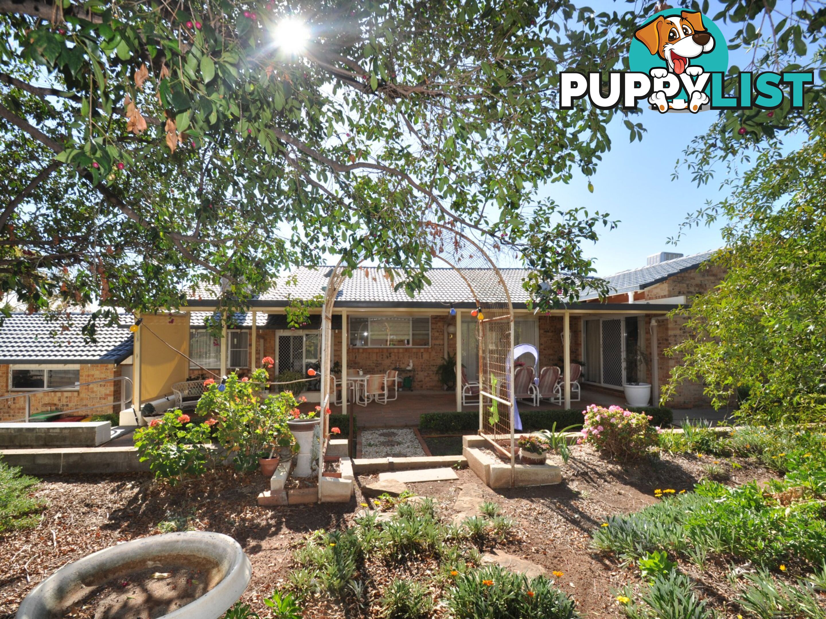 12 Anderson Place GUNNEDAH NSW 2380