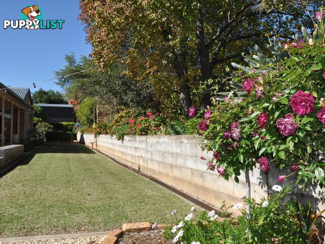 12 Anderson Place GUNNEDAH NSW 2380