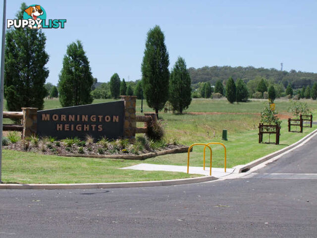 Lot 137 Kurrajong Road GUNNEDAH NSW 2380