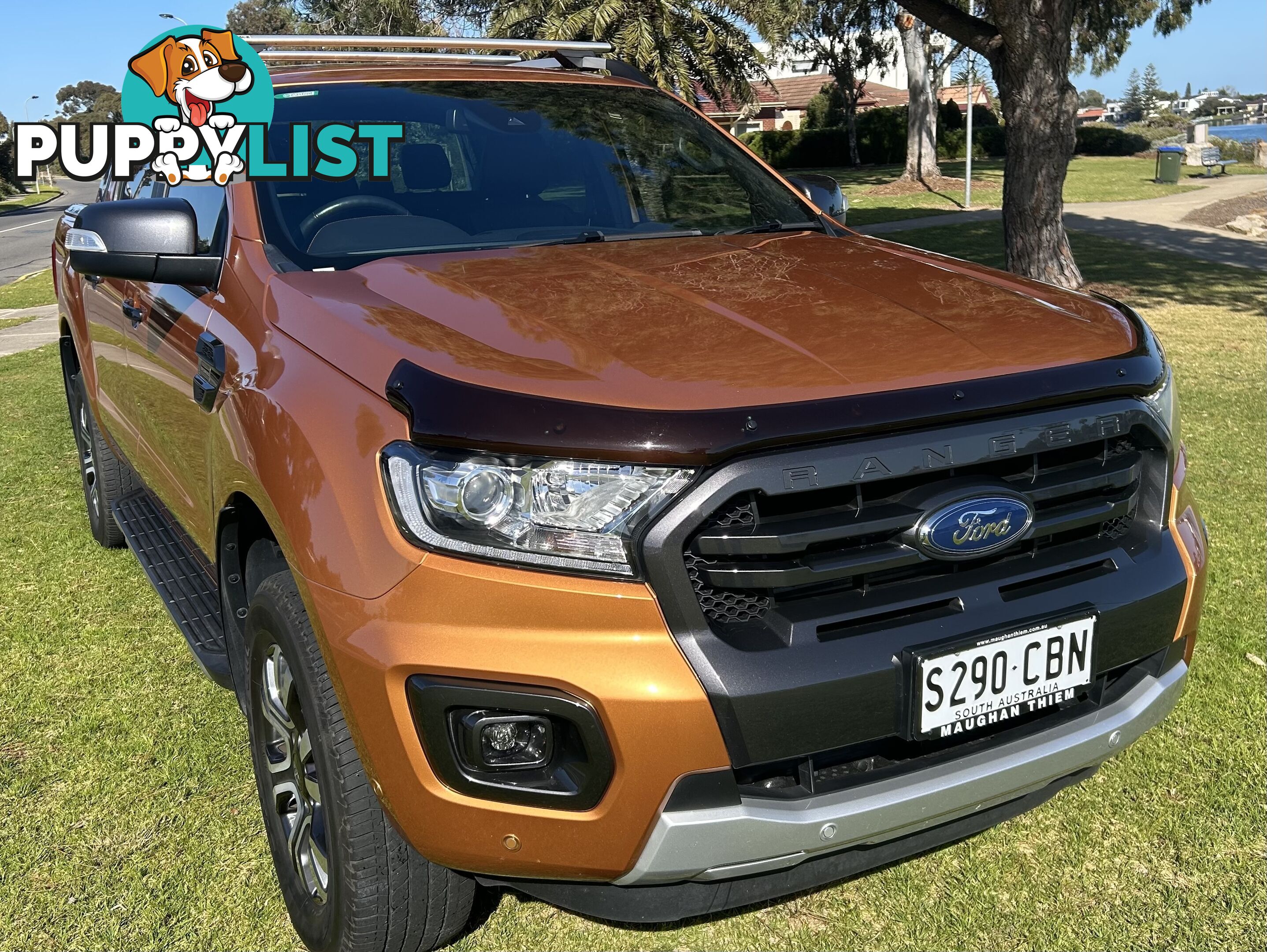 2019 Ford Ranger PX MKIII 2019.75MY WILDTRAK Ute Automatic