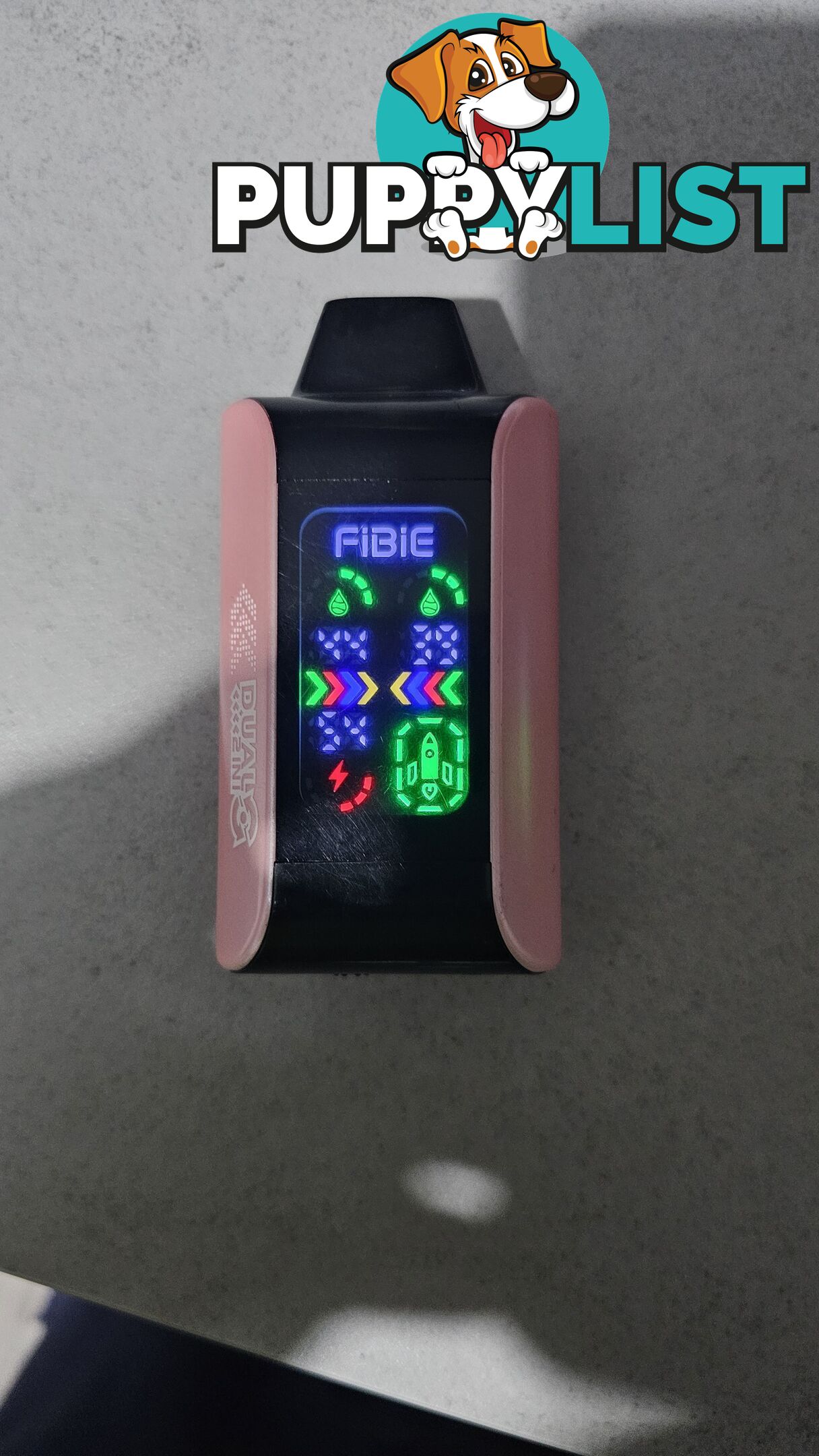 Portable VAPEouriser