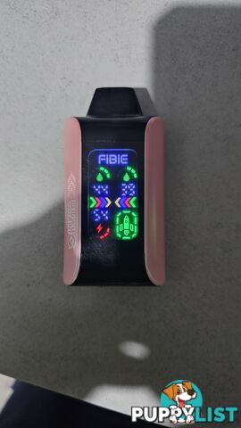 Portable VAPEouriser
