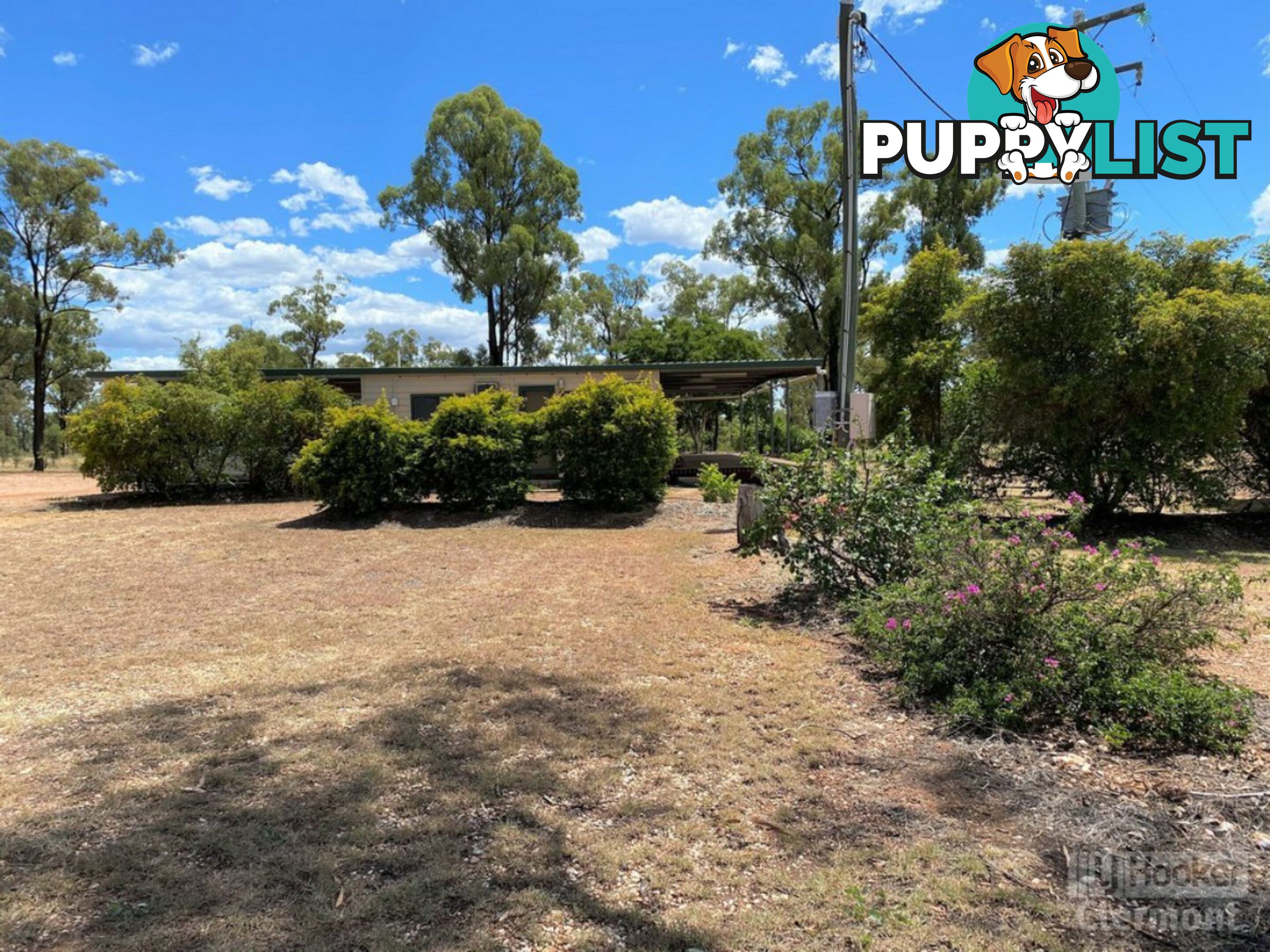 146 Clermont Alpha Road CLERMONT QLD 4721