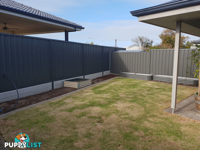 3 Illman Crescent ALDINGA BEACH SA 5173