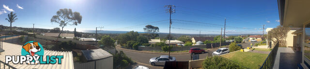 2A Wookata Crescent SEAVIEW DOWNS SA 5049