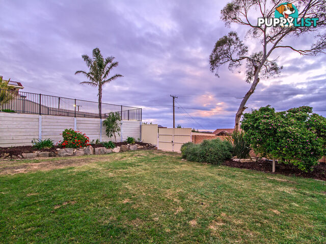 2A Wookata Crescent SEAVIEW DOWNS SA 5049