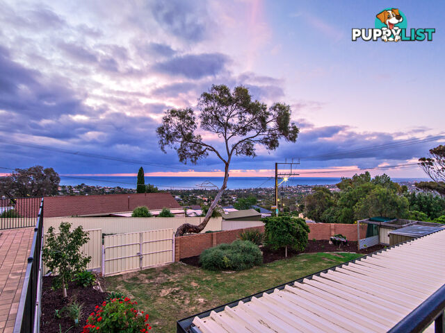 2A Wookata Crescent SEAVIEW DOWNS SA 5049