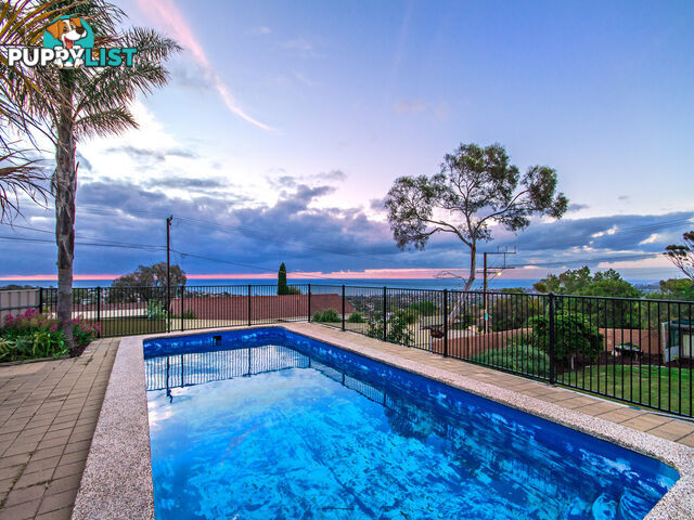 2A Wookata Crescent SEAVIEW DOWNS SA 5049