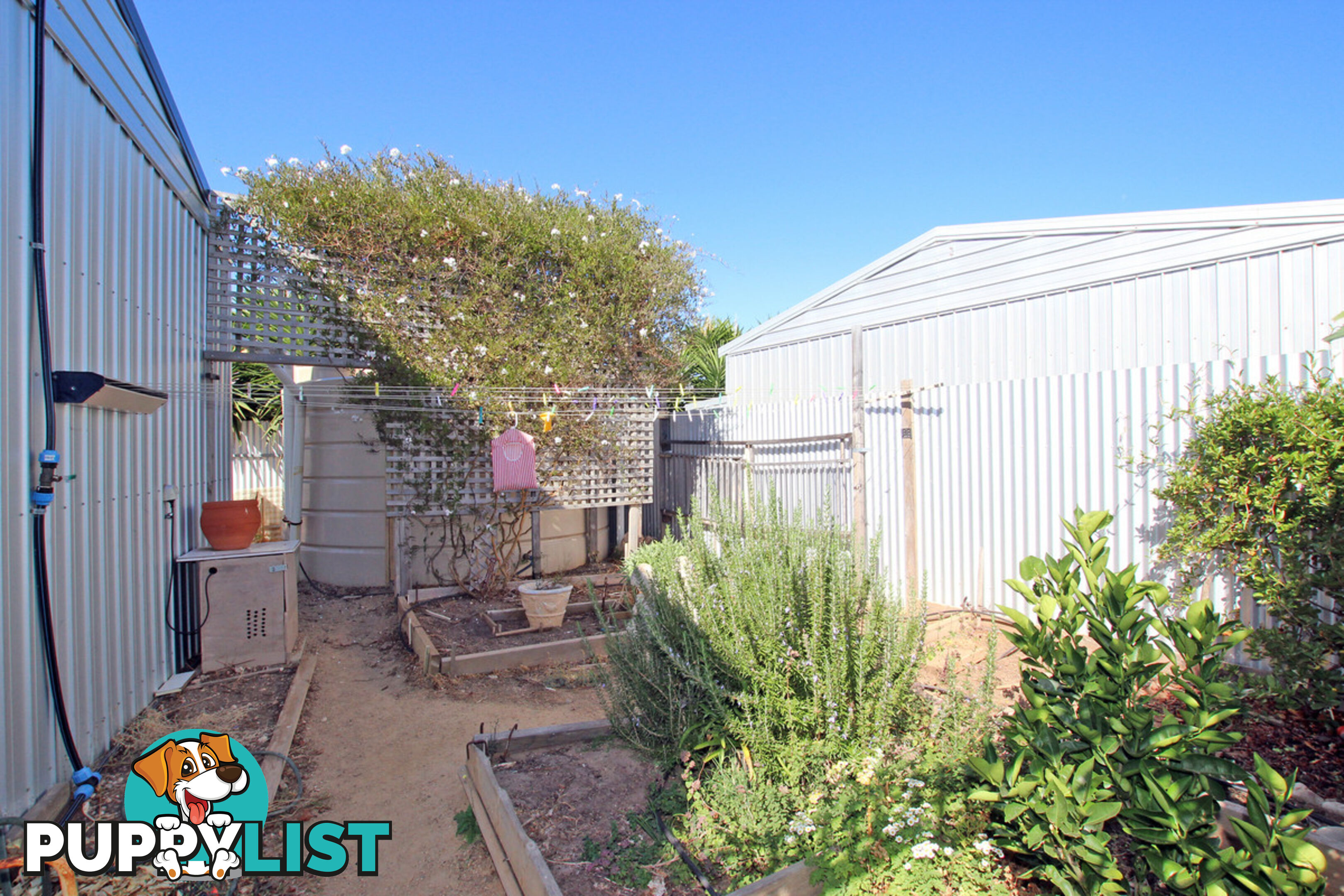 16 Harvey Crescent ALDINGA BEACH SA 5173